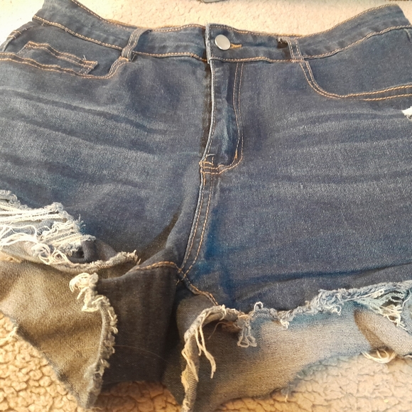 Shorts - Picture 4 of 5